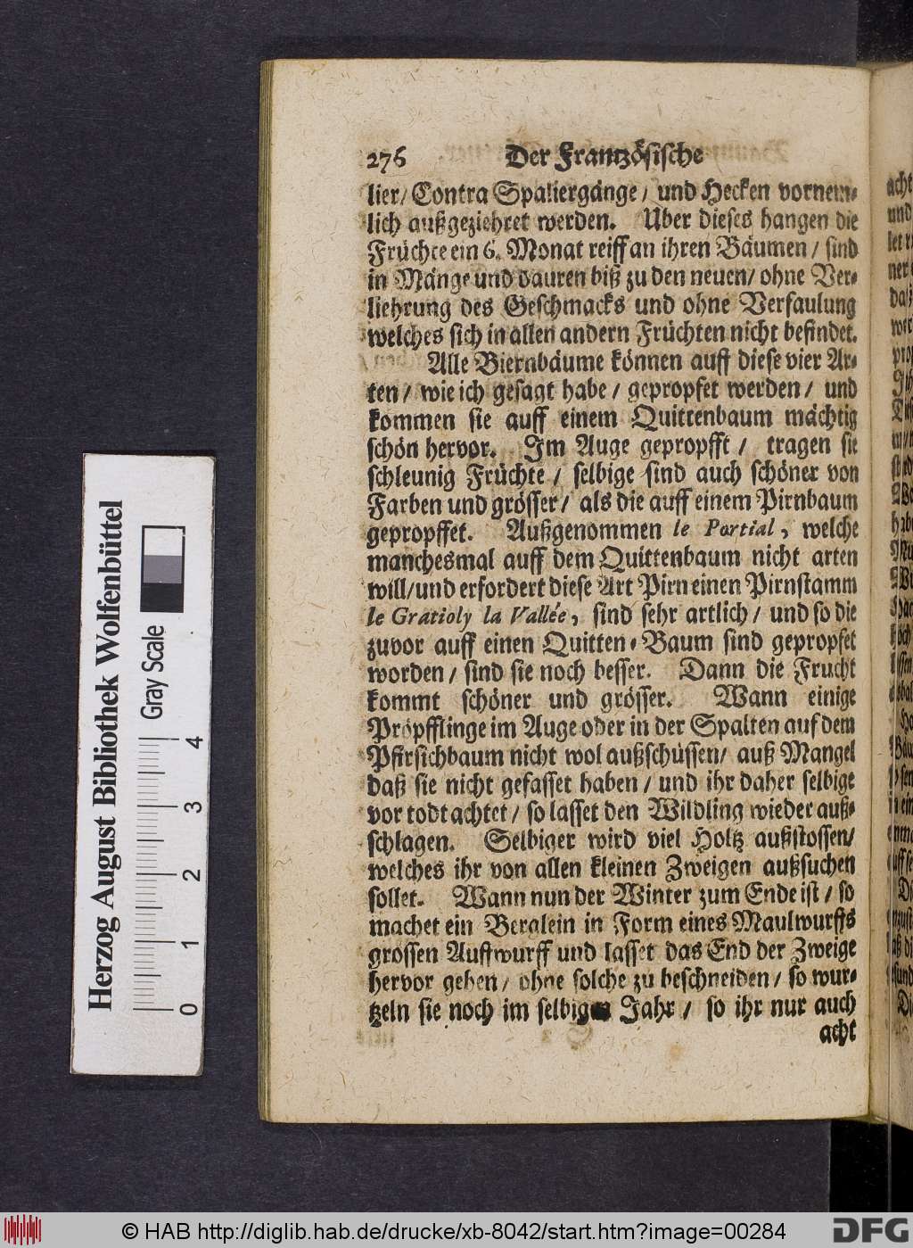 http://diglib.hab.de/drucke/xb-8042/00284.jpg