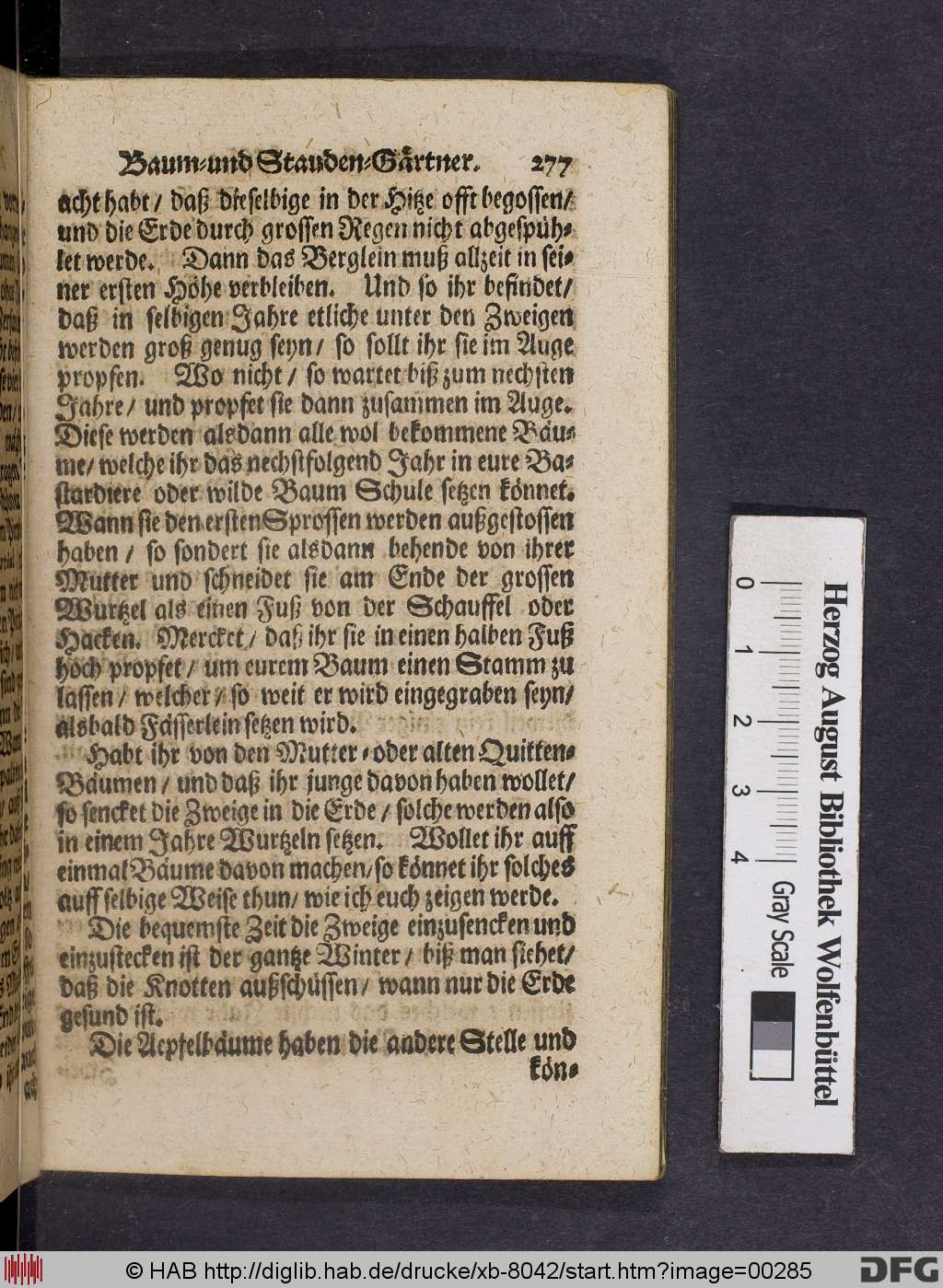 http://diglib.hab.de/drucke/xb-8042/00285.jpg