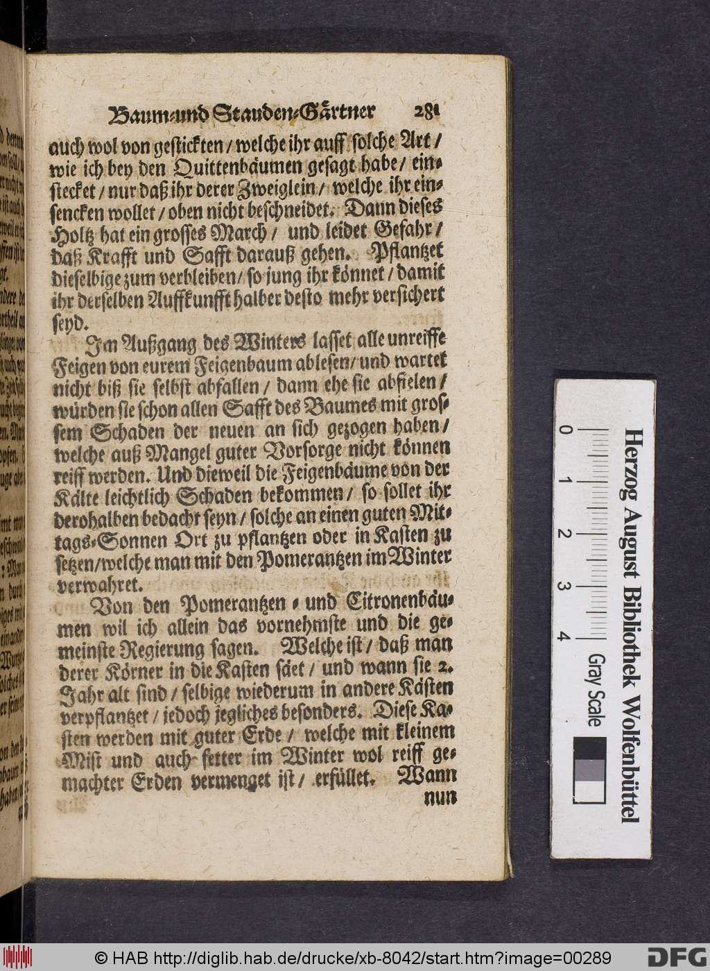 http://diglib.hab.de/drucke/xb-8042/00289.jpg