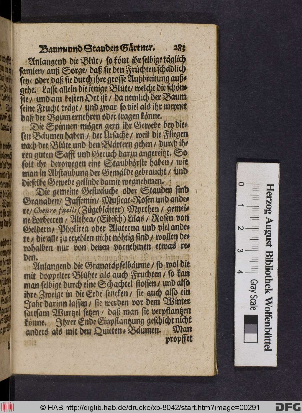 http://diglib.hab.de/drucke/xb-8042/00291.jpg