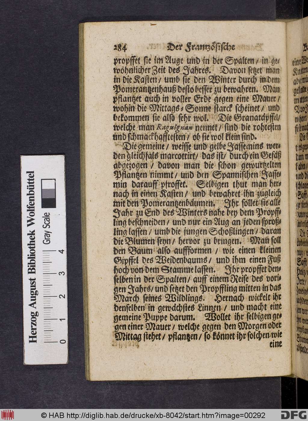 http://diglib.hab.de/drucke/xb-8042/00292.jpg