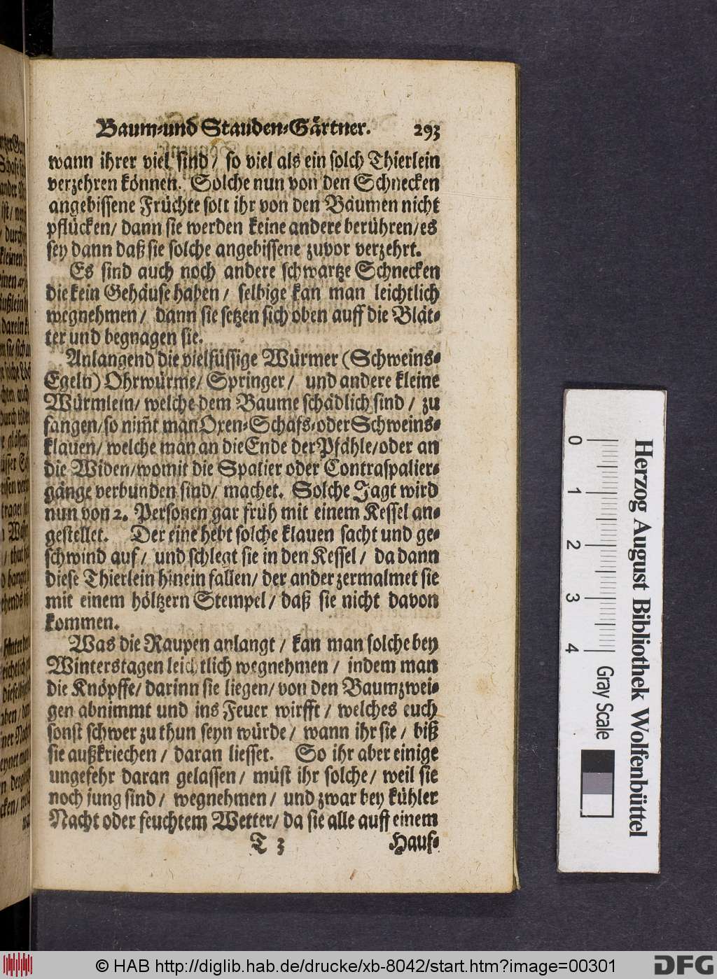 http://diglib.hab.de/drucke/xb-8042/00301.jpg