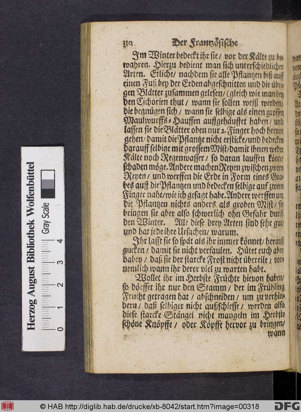 http://diglib.hab.de/drucke/xb-8042/00318.jpg