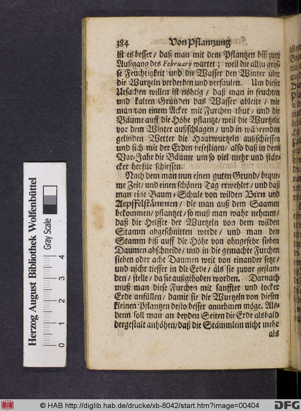 http://diglib.hab.de/drucke/xb-8042/00404.jpg