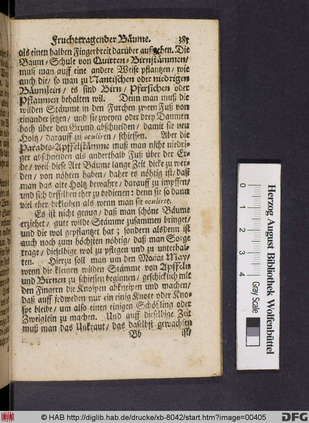 http://diglib.hab.de/drucke/xb-8042/00405.jpg