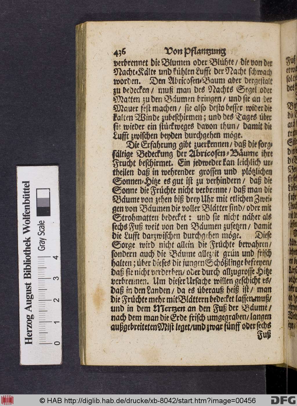 http://diglib.hab.de/drucke/xb-8042/00456.jpg