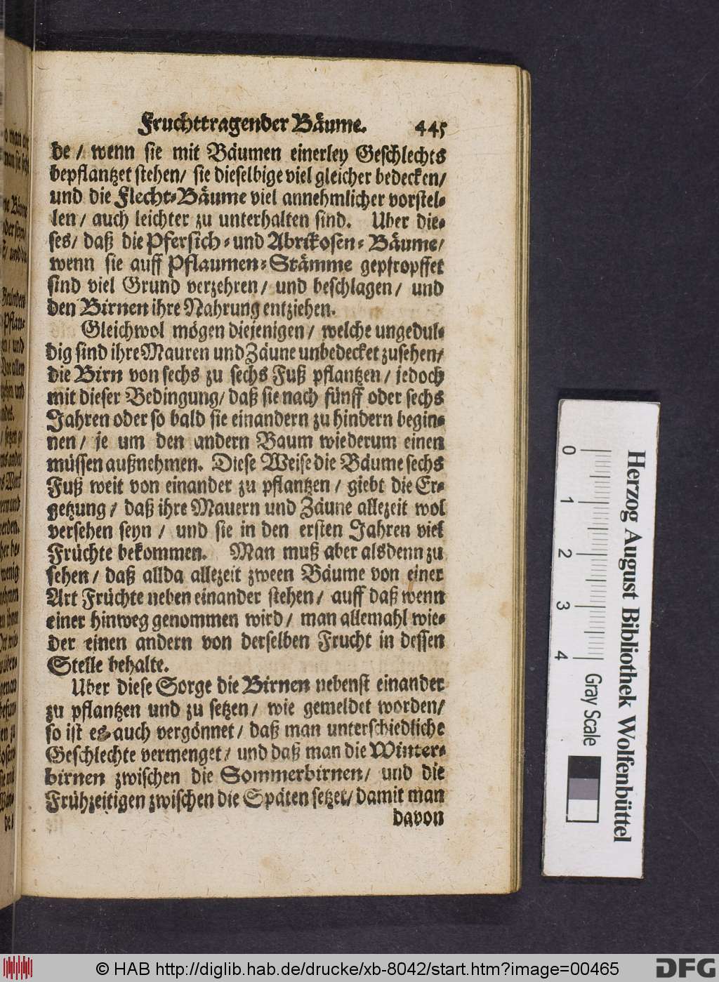 http://diglib.hab.de/drucke/xb-8042/00465.jpg