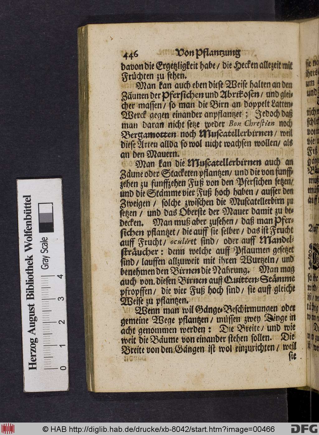 http://diglib.hab.de/drucke/xb-8042/00466.jpg