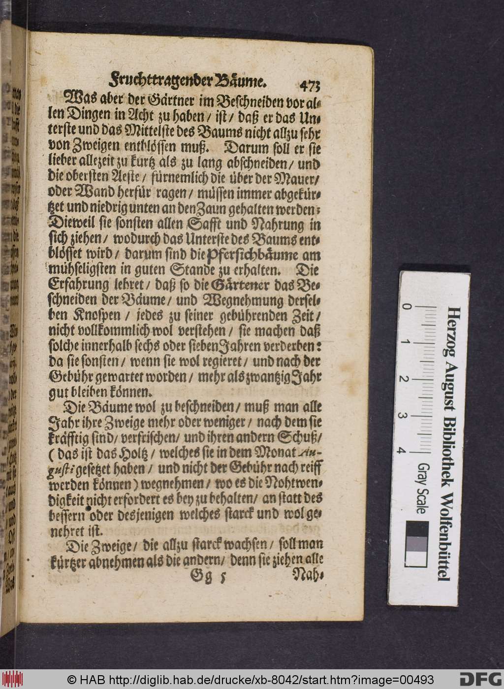 http://diglib.hab.de/drucke/xb-8042/00493.jpg