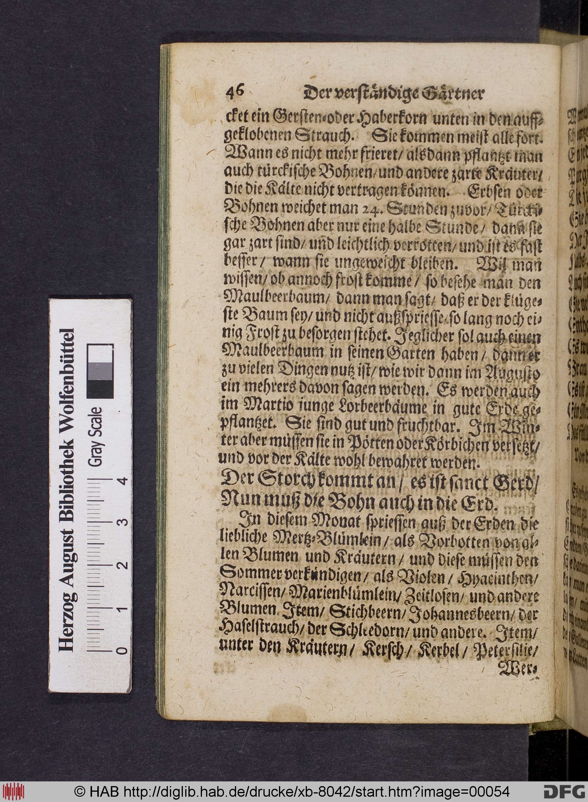 http://diglib.hab.de/drucke/xb-8042/max/00054.jpg