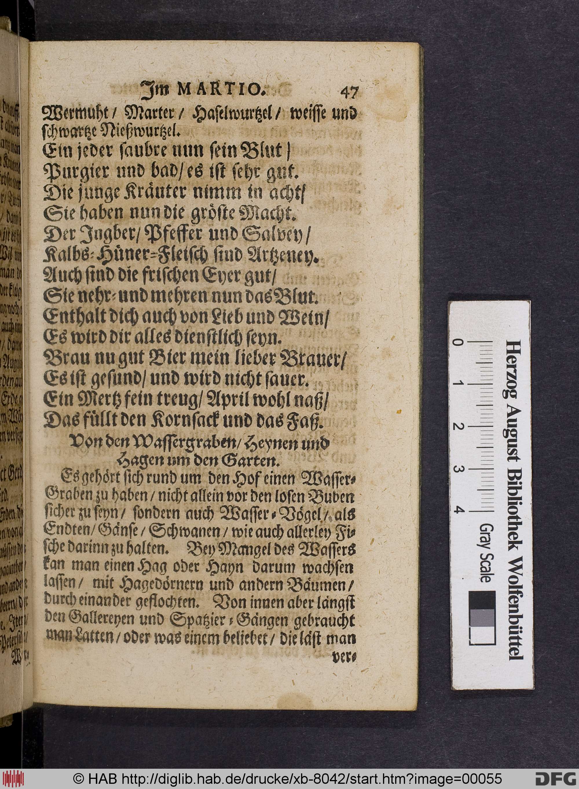 http://diglib.hab.de/drucke/xb-8042/max/00055.jpg