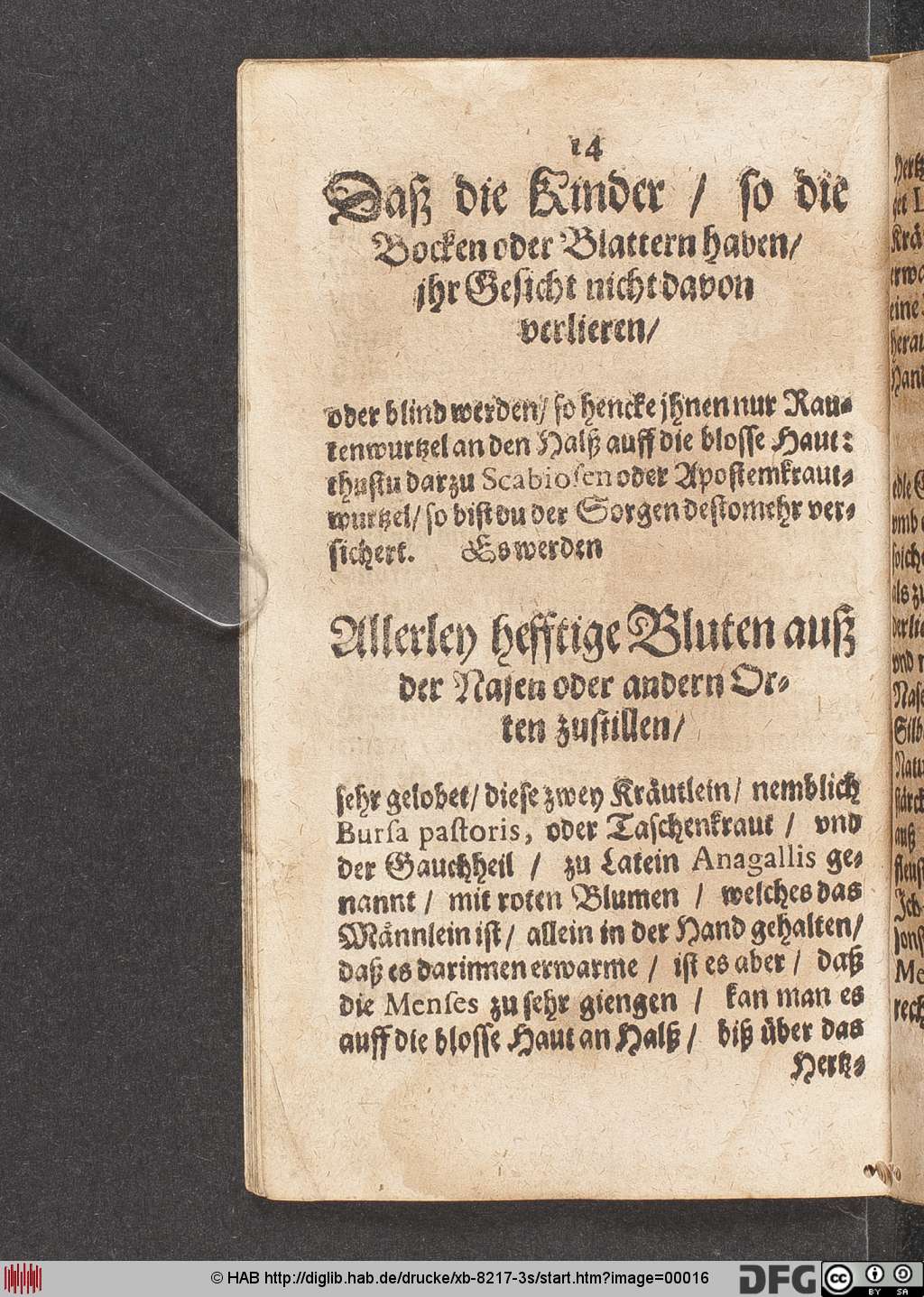 http://diglib.hab.de/drucke/xb-8217-3s/00016.jpg