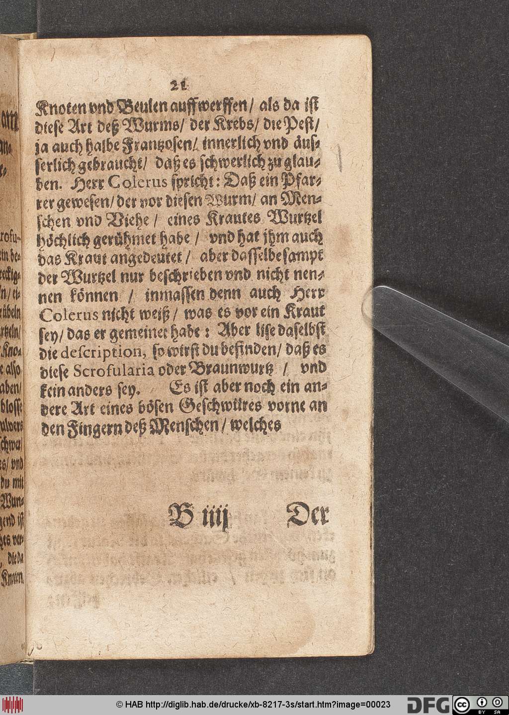 http://diglib.hab.de/drucke/xb-8217-3s/00023.jpg