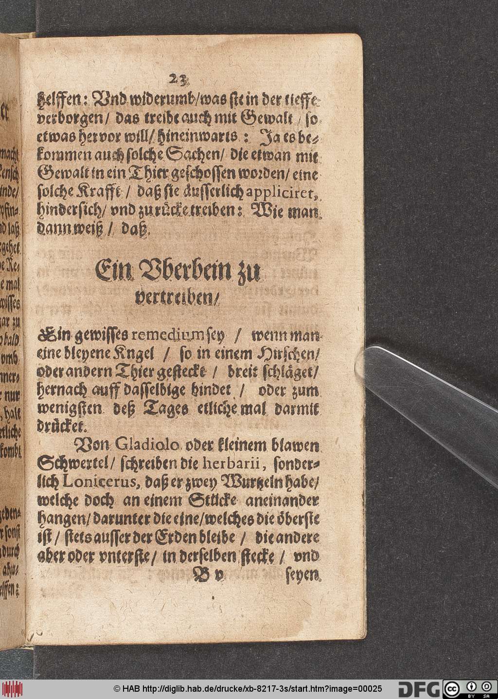 http://diglib.hab.de/drucke/xb-8217-3s/00025.jpg