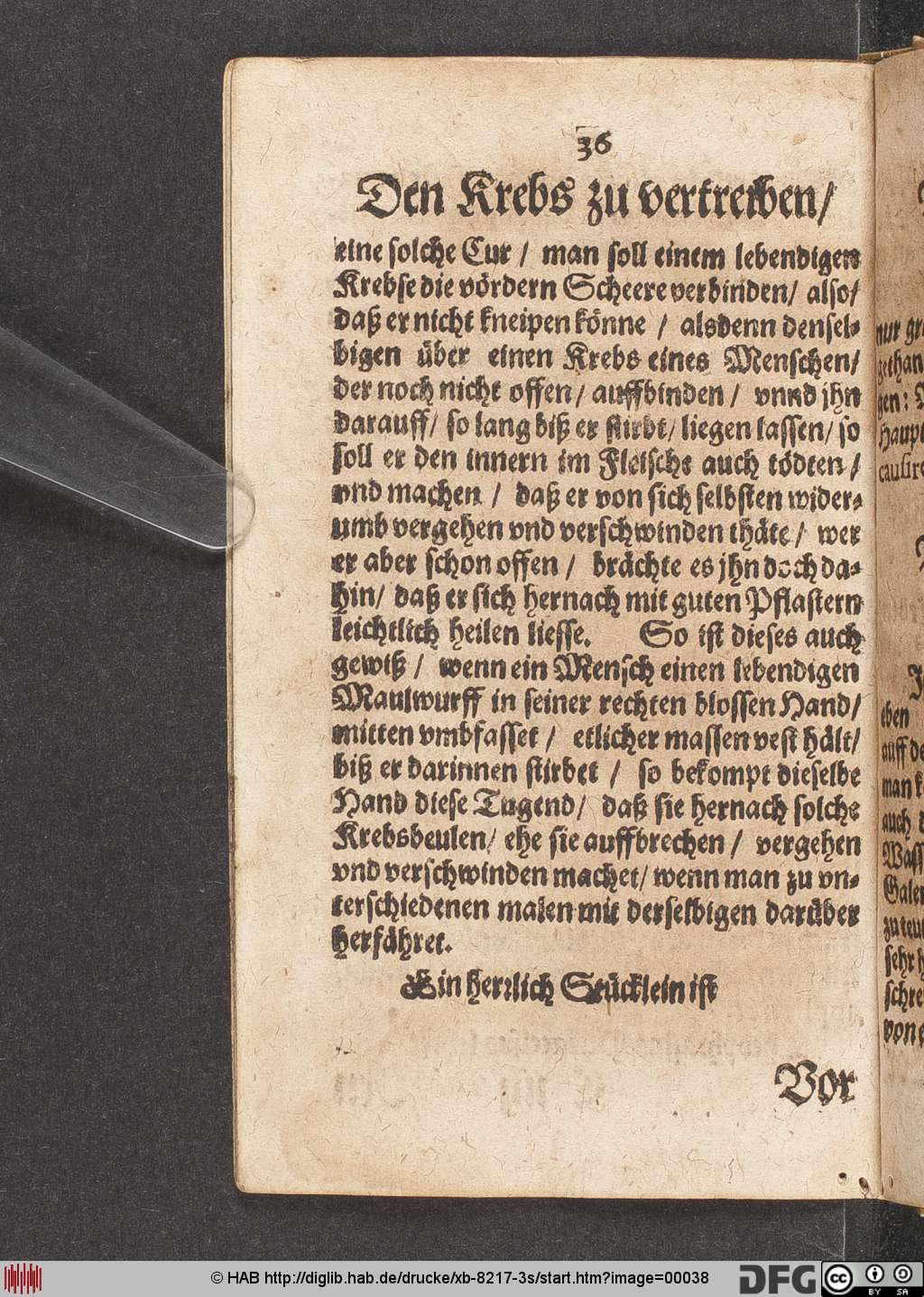 http://diglib.hab.de/drucke/xb-8217-3s/00038.jpg