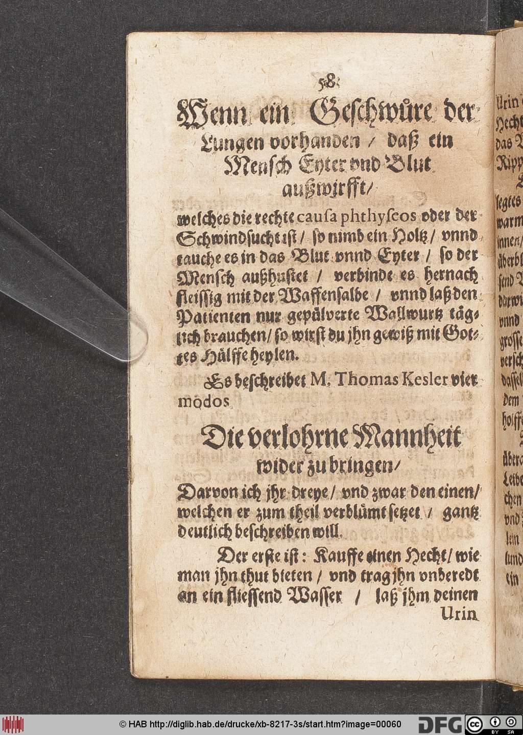 http://diglib.hab.de/drucke/xb-8217-3s/00060.jpg