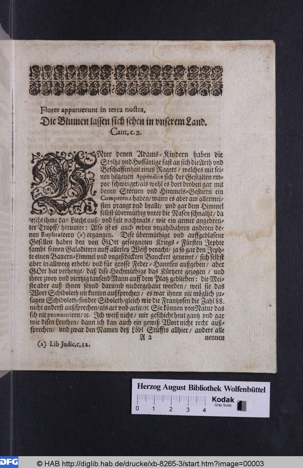 http://diglib.hab.de/drucke/xb-8265-3/00003.jpg