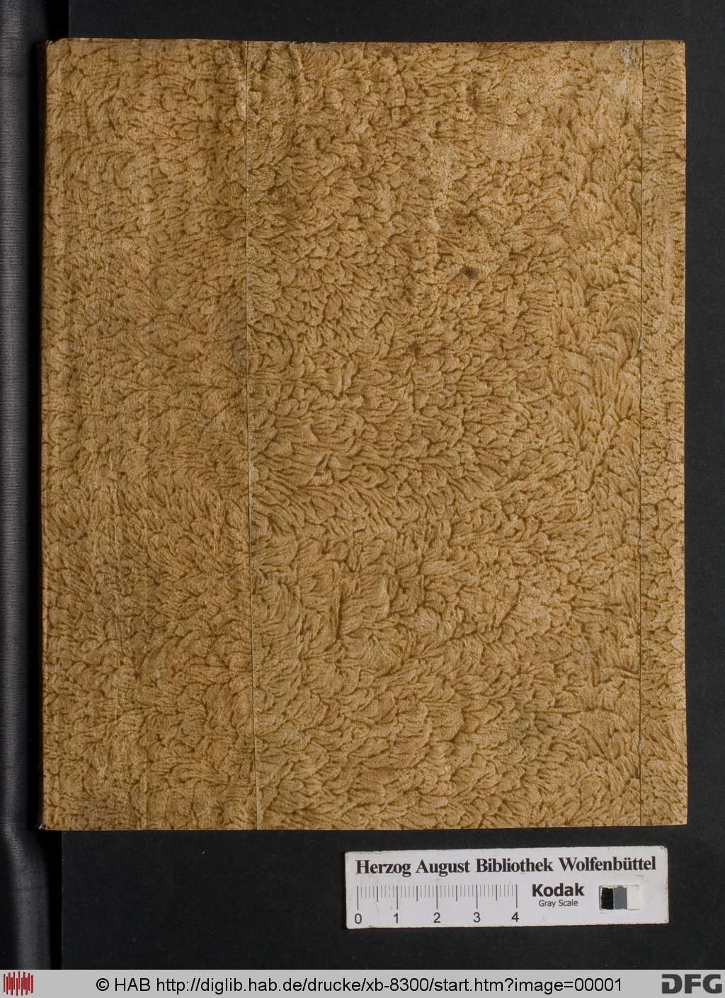 http://diglib.hab.de/drucke/xb-8300/00001.jpg