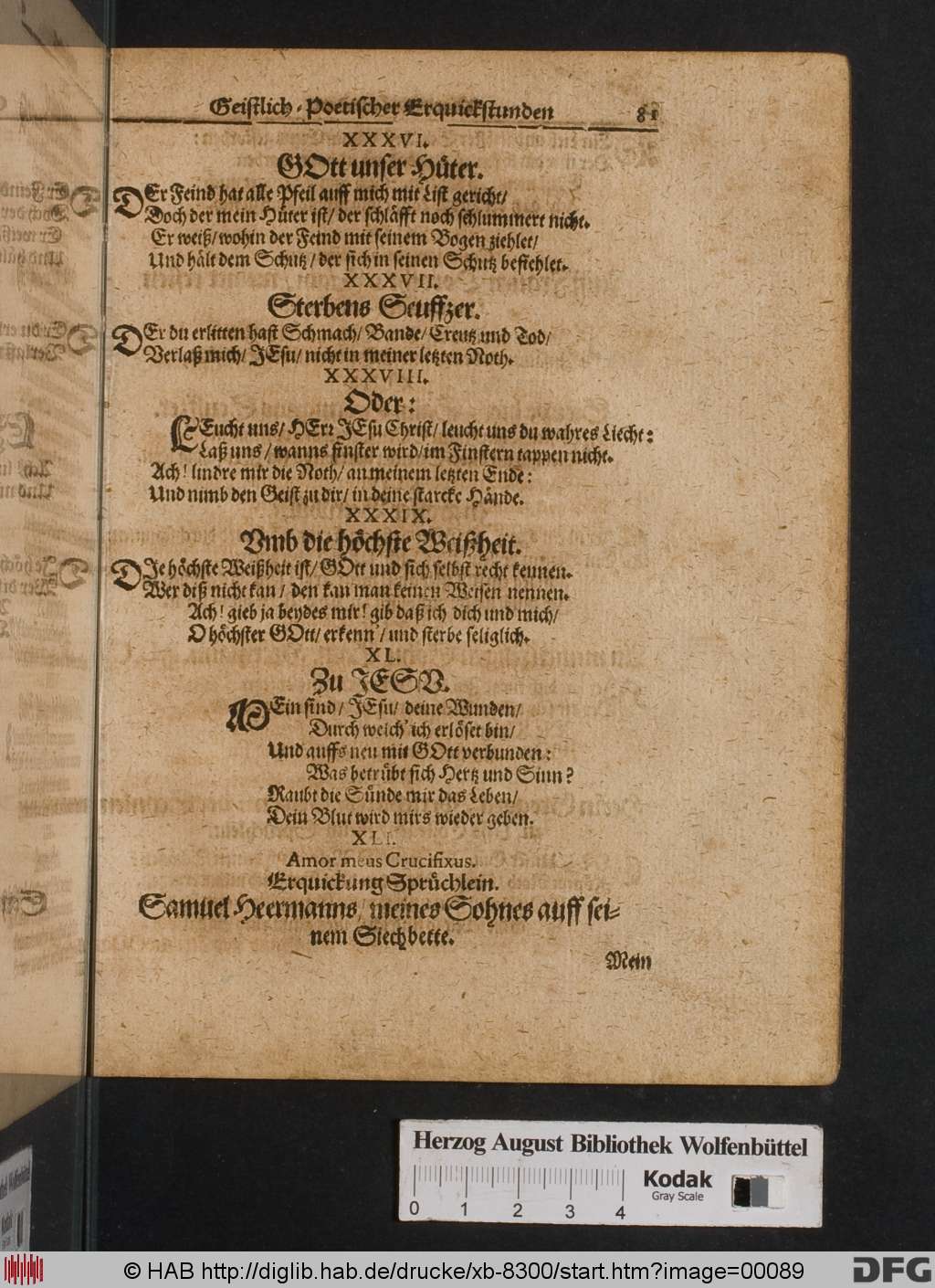 http://diglib.hab.de/drucke/xb-8300/00089.jpg