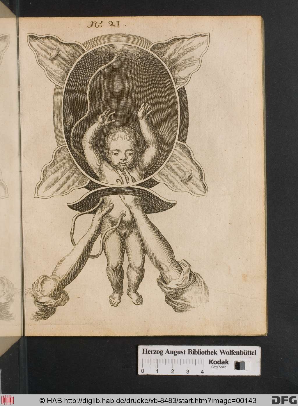 http://diglib.hab.de/drucke/xb-8483/00143.jpg