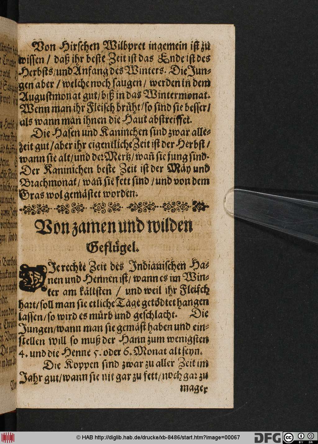 http://diglib.hab.de/drucke/xb-8486/00067.jpg