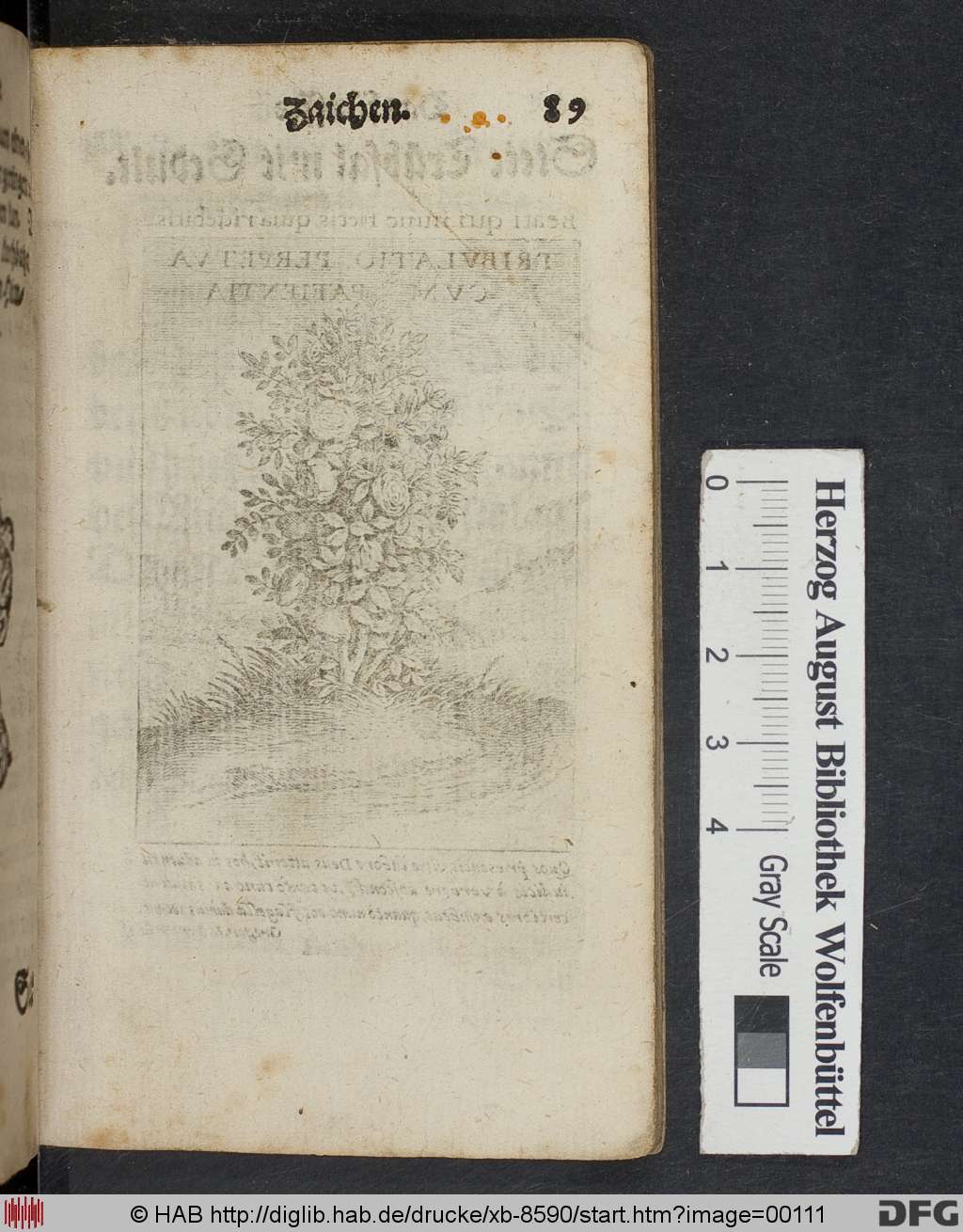 http://diglib.hab.de/drucke/xb-8590/00111.jpg