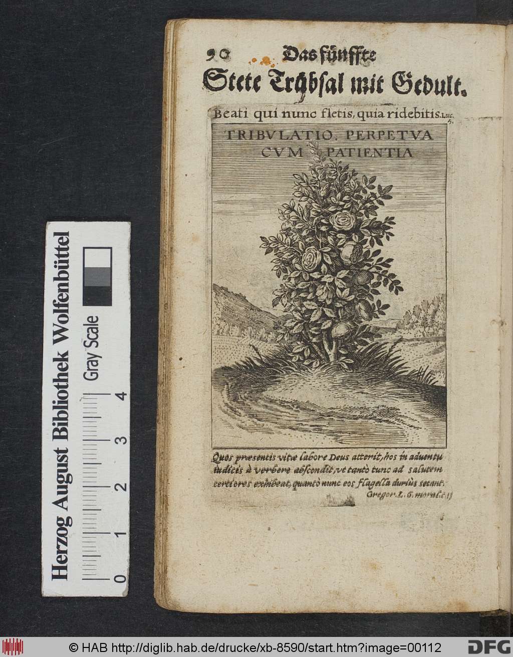 http://diglib.hab.de/drucke/xb-8590/00112.jpg