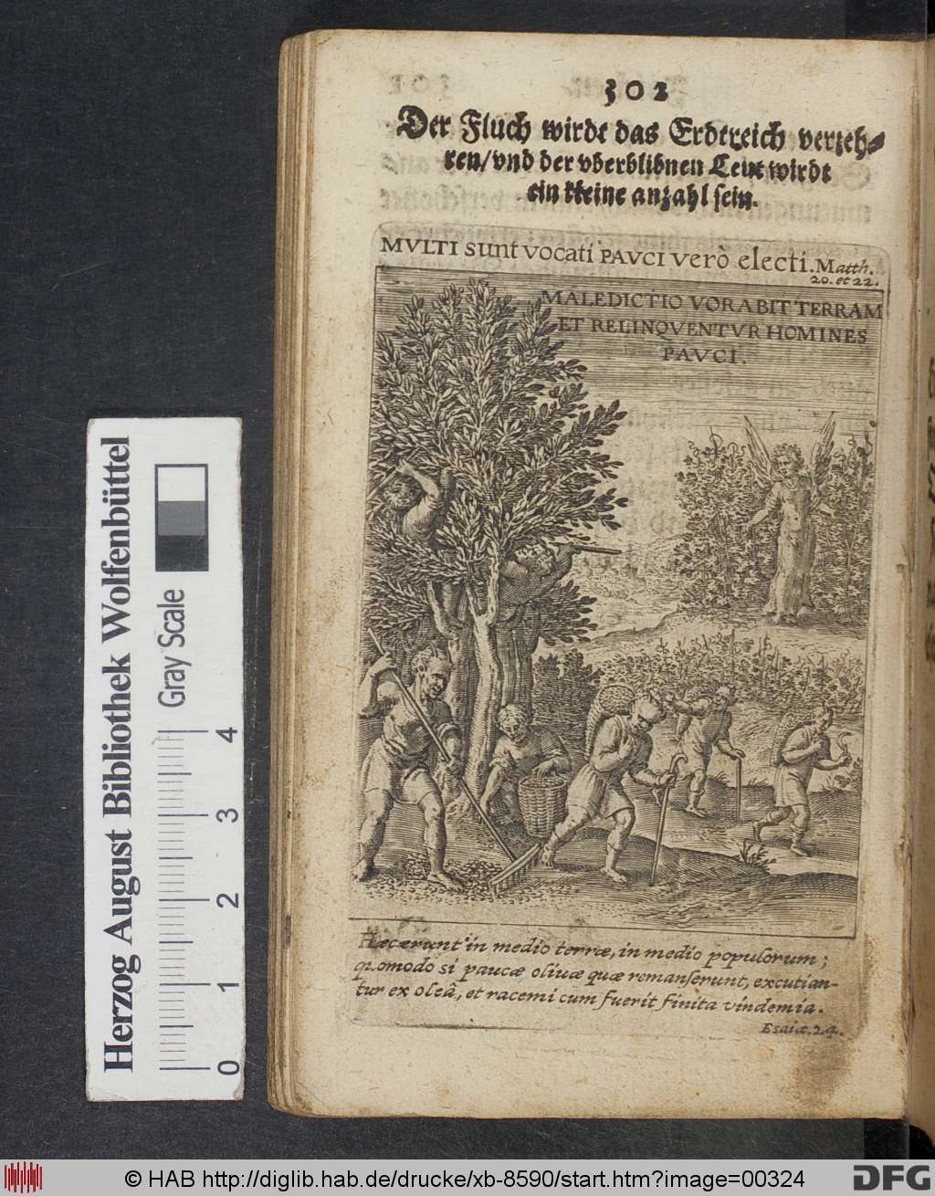 http://diglib.hab.de/drucke/xb-8590/00324.jpg