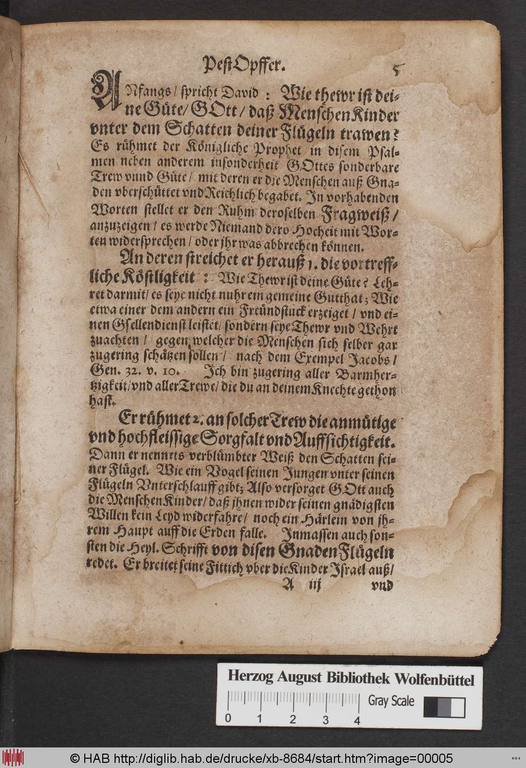 http://diglib.hab.de/drucke/xb-8684/00005.jpg