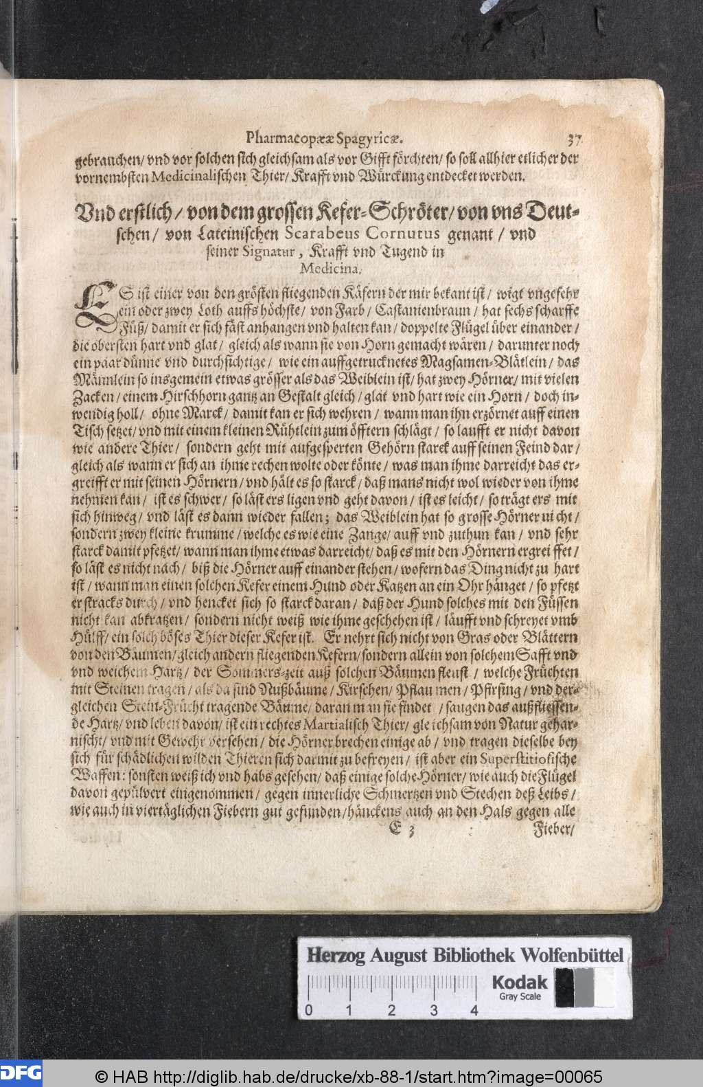 http://diglib.hab.de/drucke/xb-88-1/00065.jpg