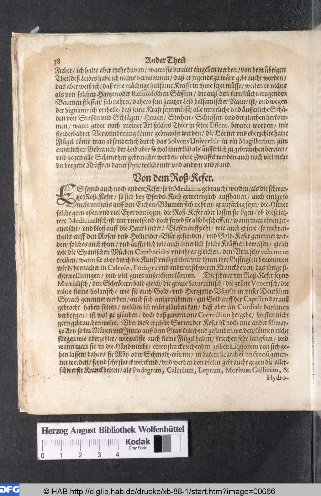 http://diglib.hab.de/drucke/xb-88-1/00066.jpg