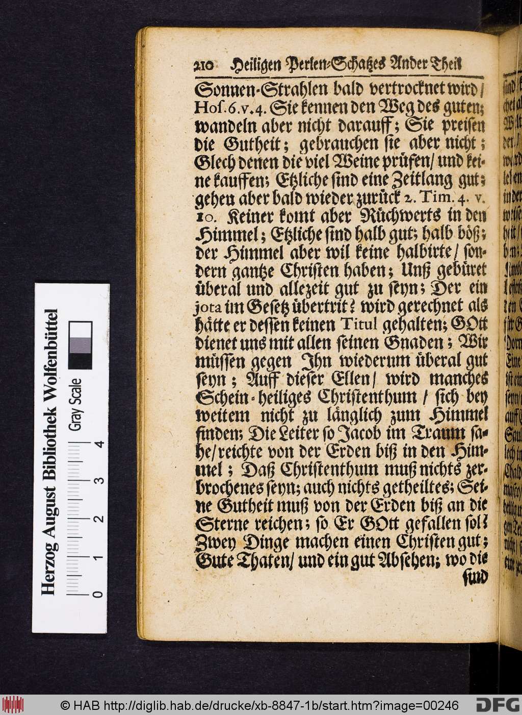 http://diglib.hab.de/drucke/xb-8847-1b/00246.jpg