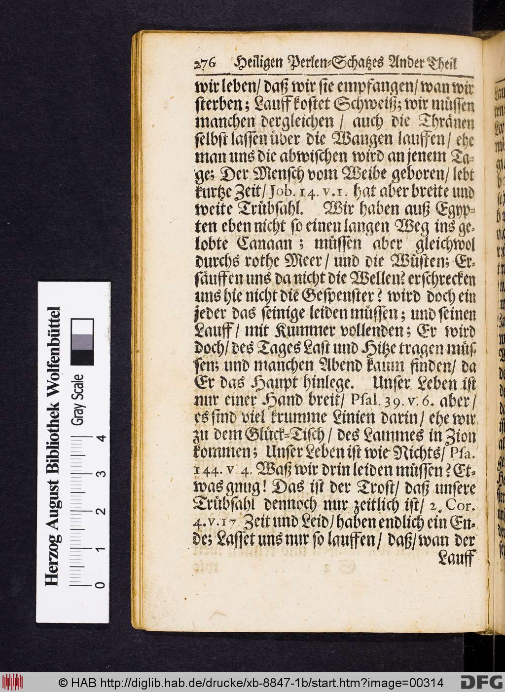 http://diglib.hab.de/drucke/xb-8847-1b/00314.jpg