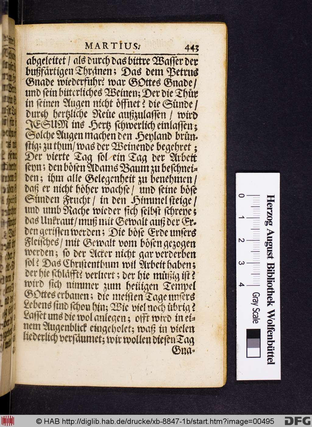 http://diglib.hab.de/drucke/xb-8847-1b/00495.jpg
