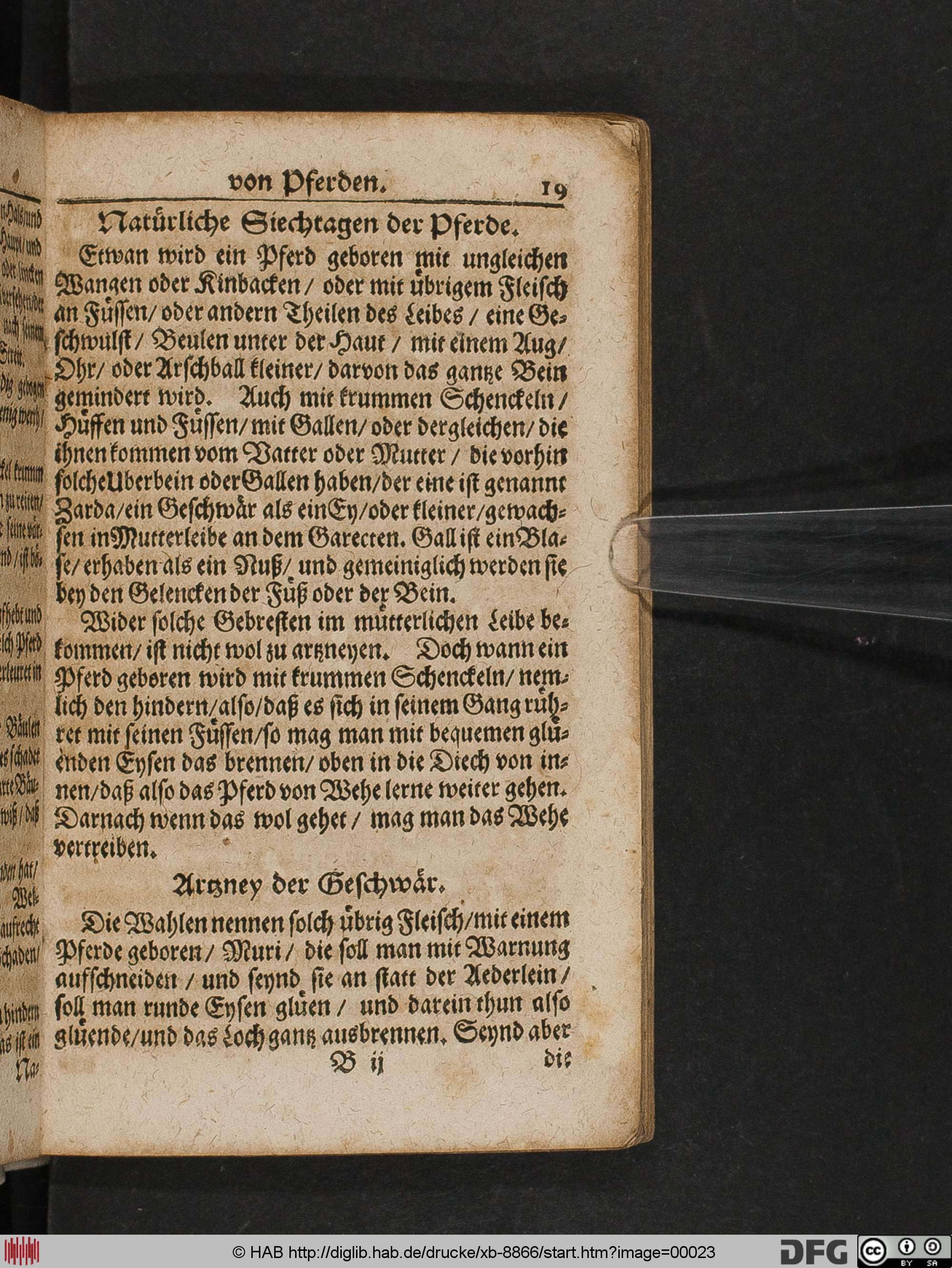 http://diglib.hab.de/drucke/xb-8866/max/00023.jpg