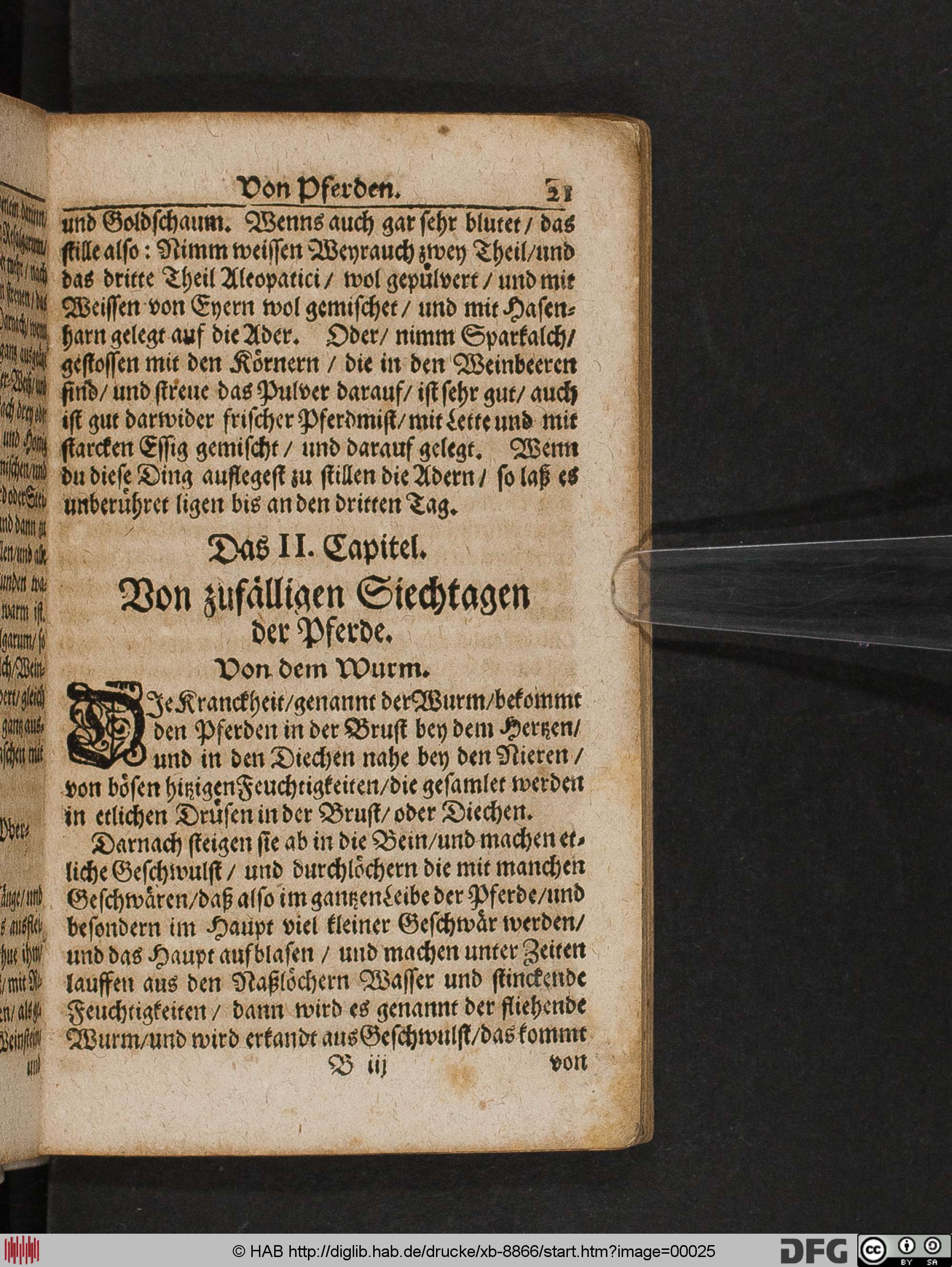 http://diglib.hab.de/drucke/xb-8866/max/00025.jpg