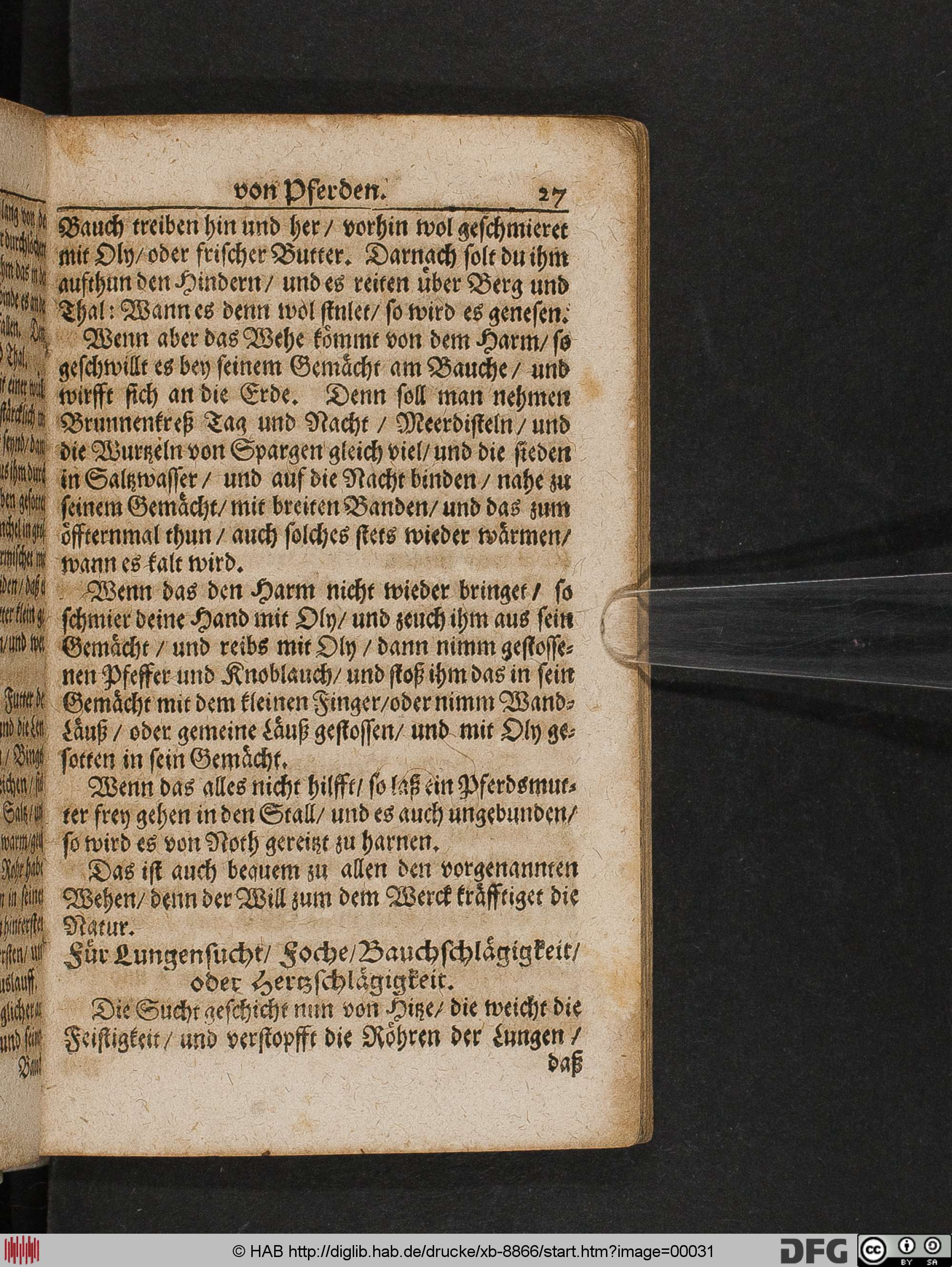 http://diglib.hab.de/drucke/xb-8866/max/00031.jpg