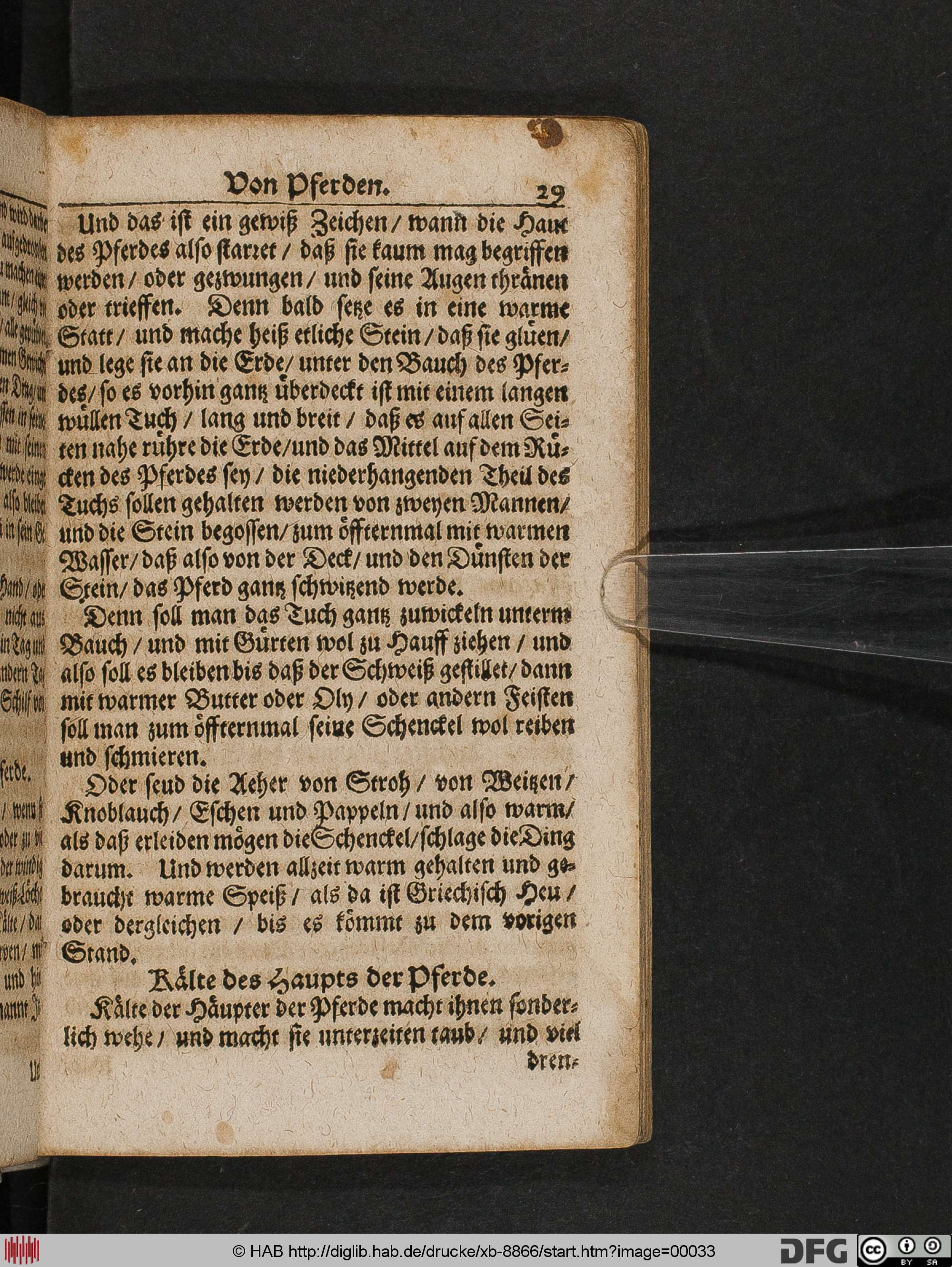 http://diglib.hab.de/drucke/xb-8866/max/00033.jpg