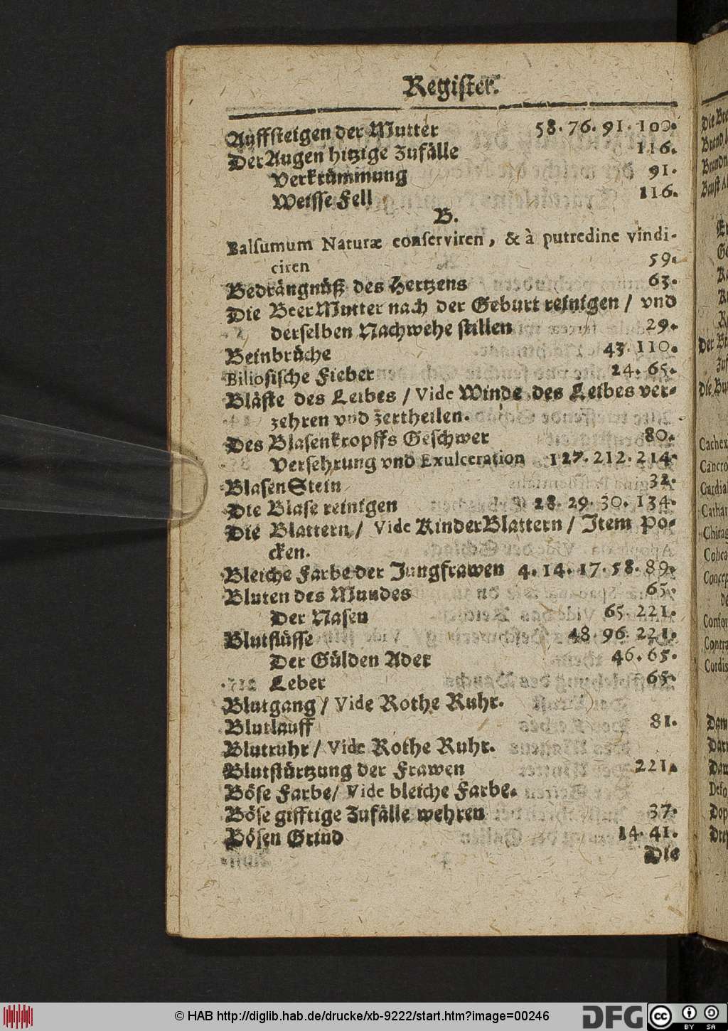 http://diglib.hab.de/drucke/xb-9222/00246.jpg