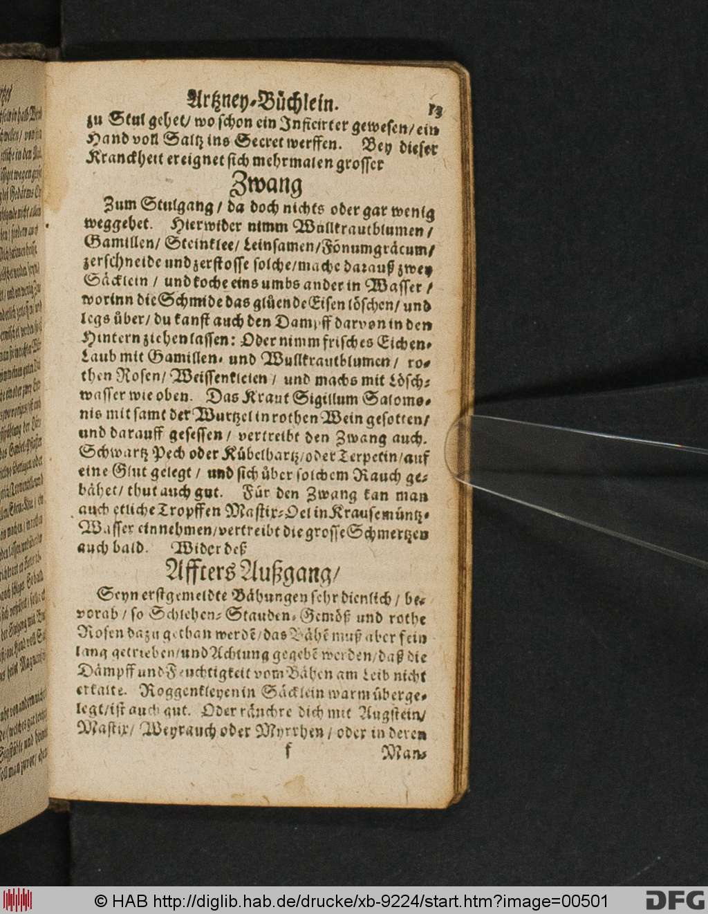 http://diglib.hab.de/drucke/xb-9224/00501.jpg