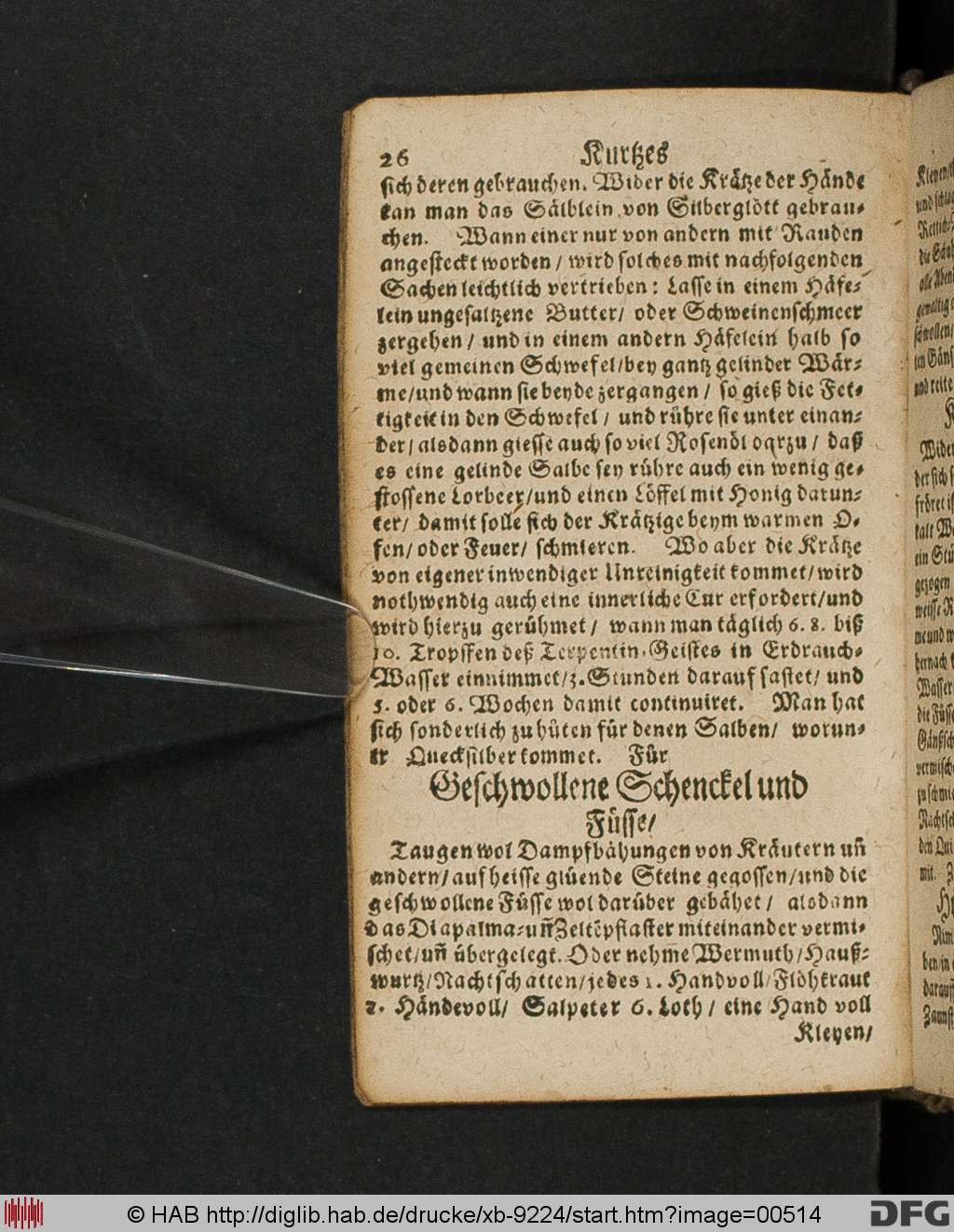 http://diglib.hab.de/drucke/xb-9224/00514.jpg
