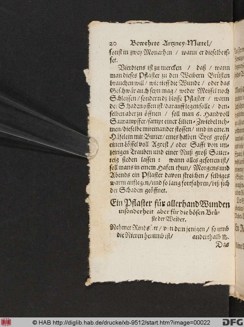 http://diglib.hab.de/drucke/xb-9512/00022.jpg