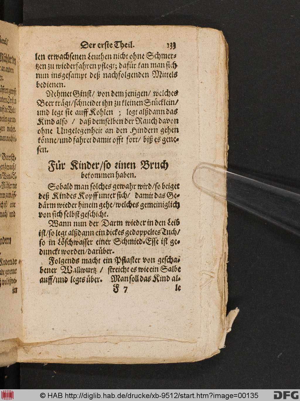 http://diglib.hab.de/drucke/xb-9512/00135.jpg