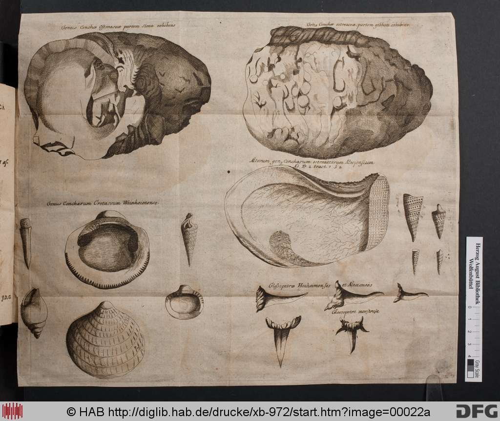 http://diglib.hab.de/drucke/xb-972/00022a.jpg