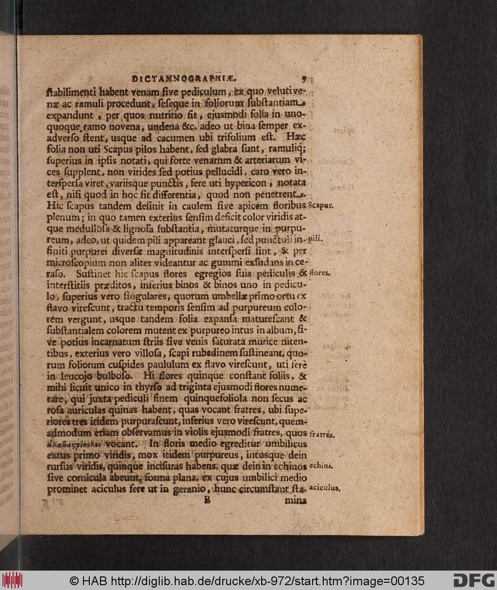 http://diglib.hab.de/drucke/xb-972/00135.jpg