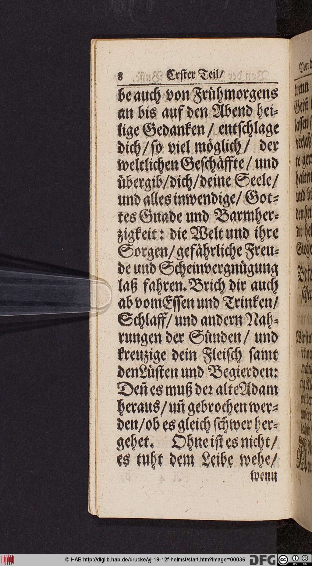 http://diglib.hab.de/drucke/yj-19-12f-helmst/00036.jpg