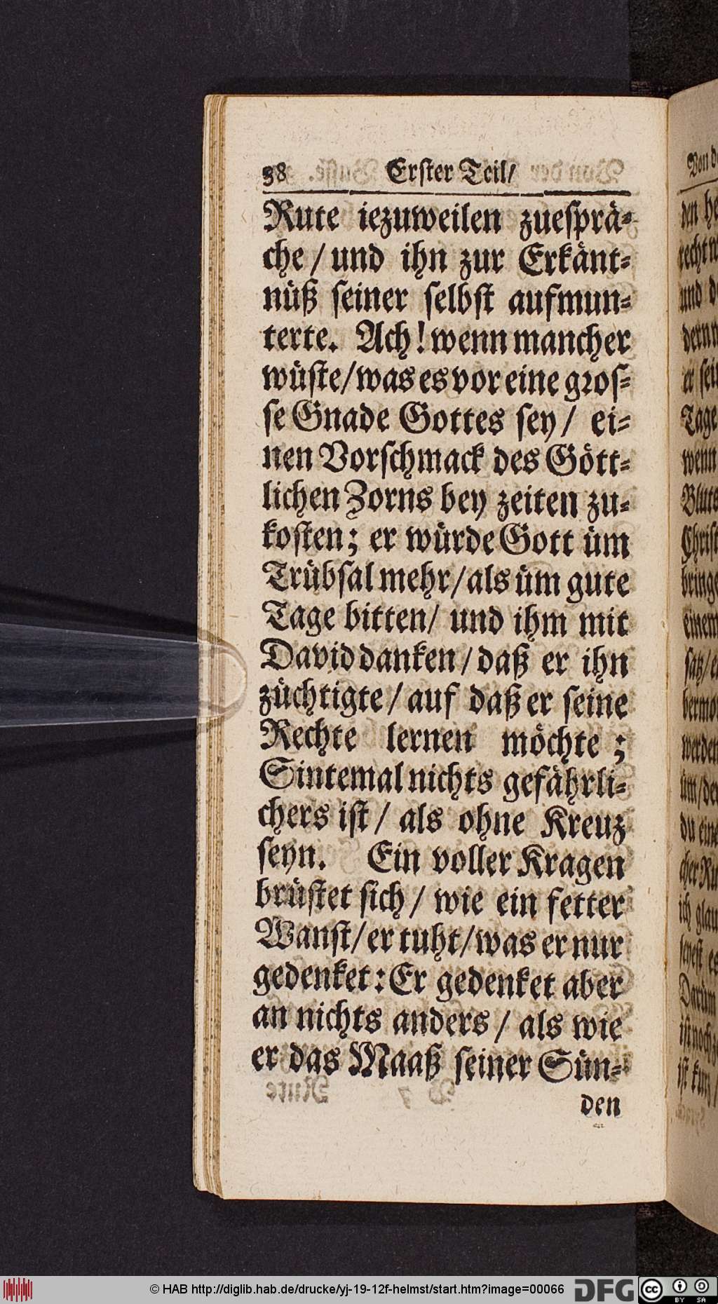 http://diglib.hab.de/drucke/yj-19-12f-helmst/00066.jpg