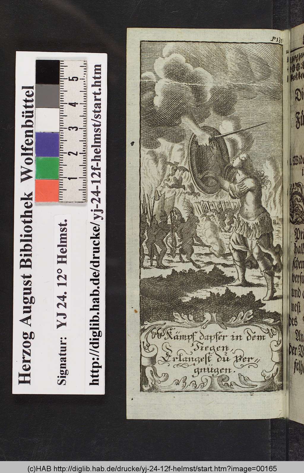 http://diglib.hab.de/drucke/yj-24-12f-helmst/00165.jpg