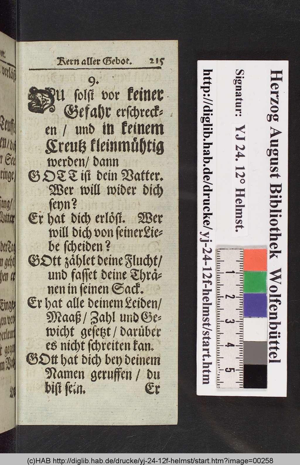 http://diglib.hab.de/drucke/yj-24-12f-helmst/00258.jpg