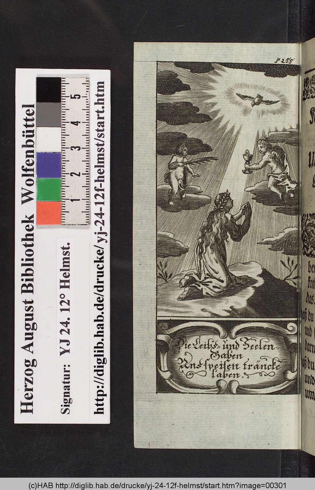 http://diglib.hab.de/drucke/yj-24-12f-helmst/00301.jpg